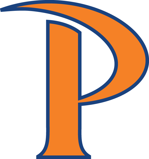 Pepperdine Waves 2011-Pres Alternate Logo DIY iron on transfer (heat transfer)